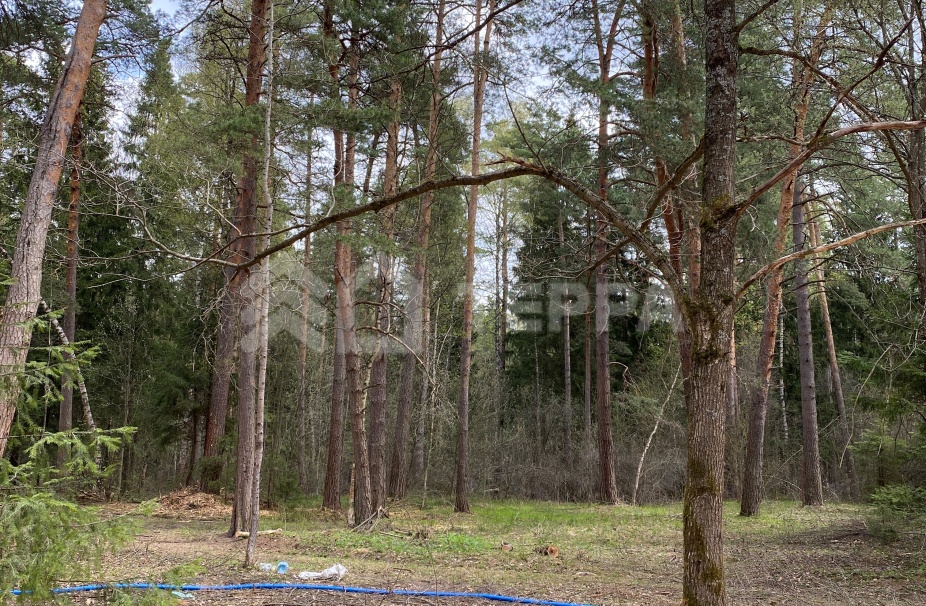 Объект ID 18069 - Участок