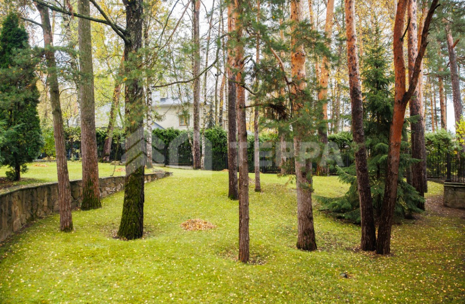 Объект ID 18484 - Дом