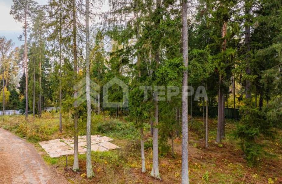 Объект ID 17916 - Участок