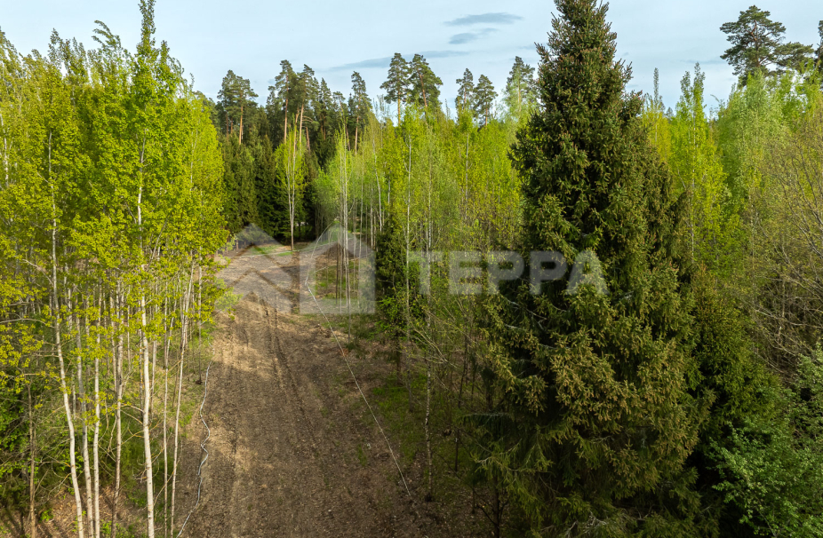 Объект ID 18569 - Участок