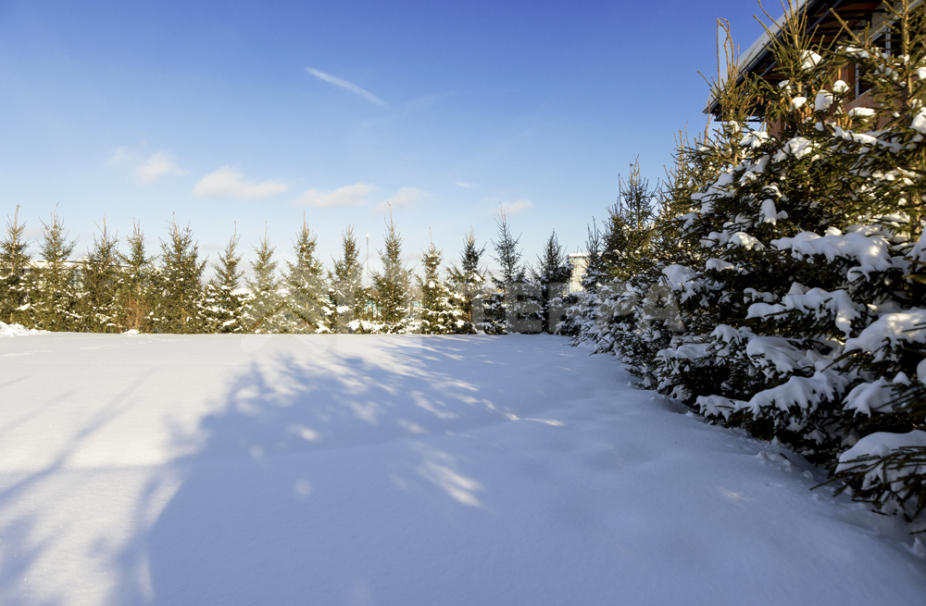 Объект ID 19120 - Дом