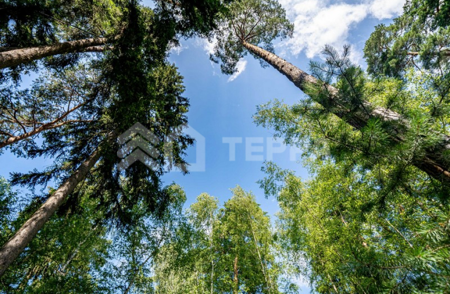 Объект ID 10488 - Дом