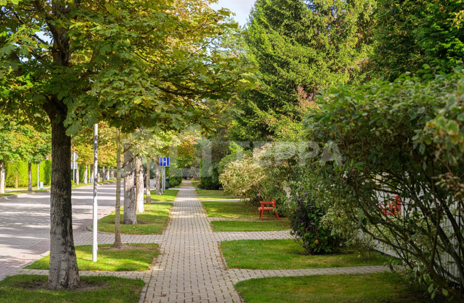 Объект ID 18889 - Участок