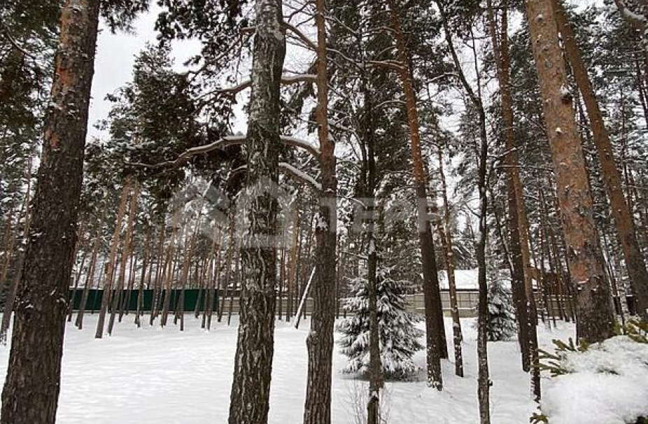 Объект ID 16764 - Участок