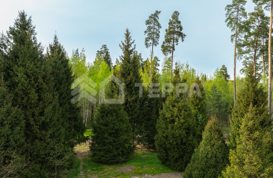 Объект ID 18566 - Участок