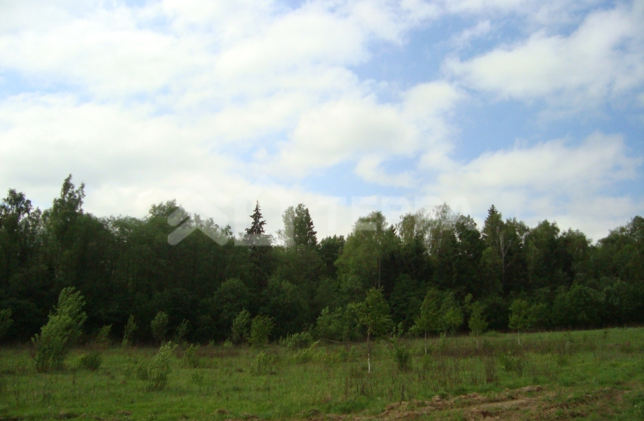 Объект ID 12000 - Участок