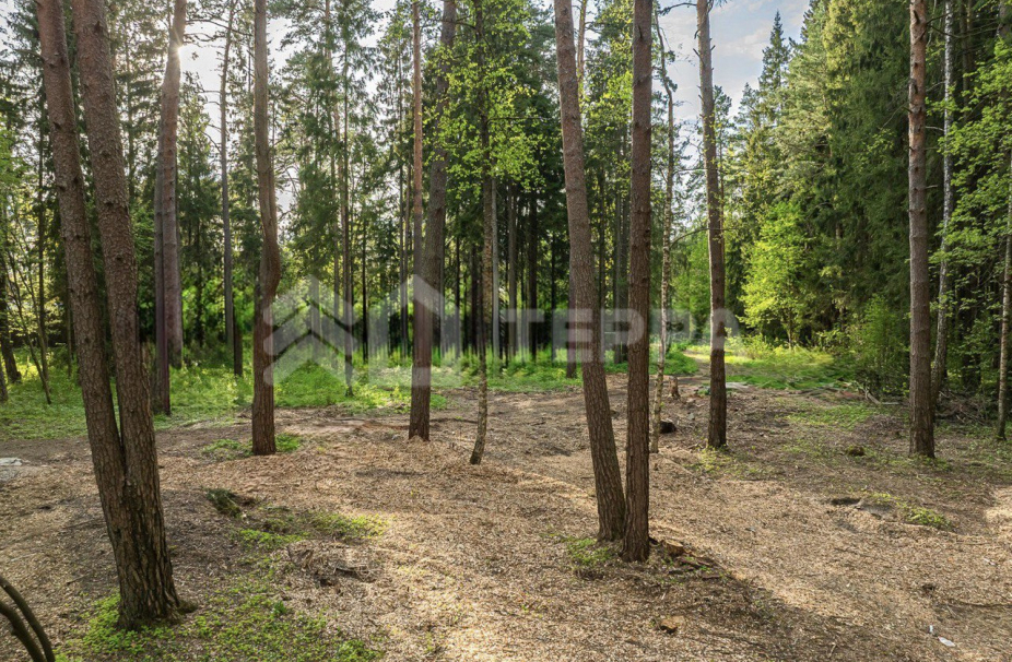 Объект ID 19096 - Участок