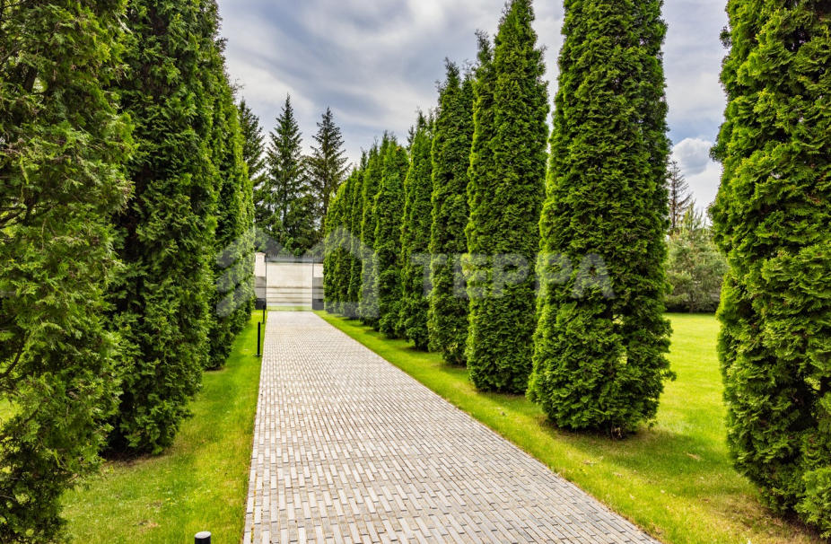 Объект ID 16377 - Дом