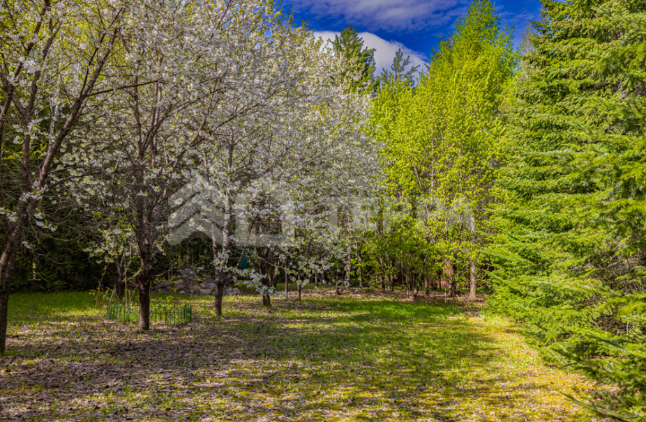 Объект ID 14620 - Дом