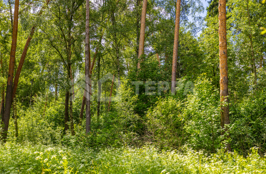 Объект ID 10579 - Участок