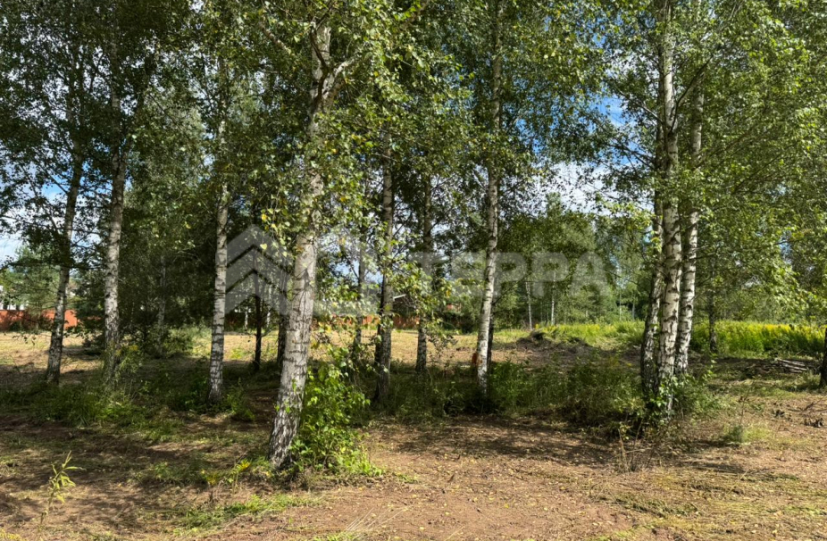 Объект ID 18913 - Участок