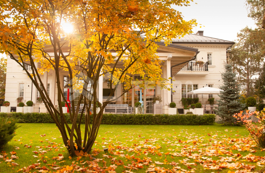 Объект ID 17488 - Дом