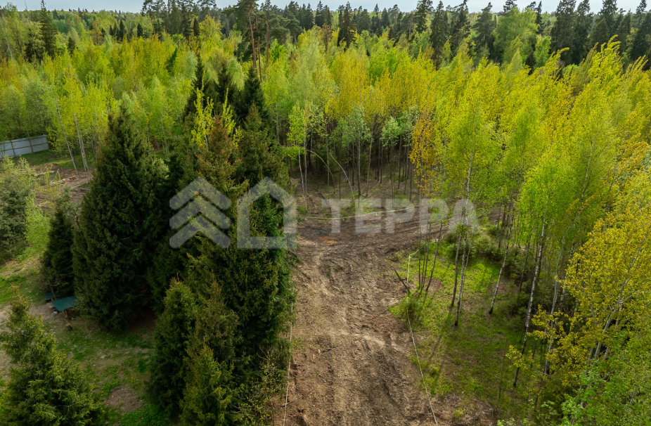 Объект ID 18566 - Участок