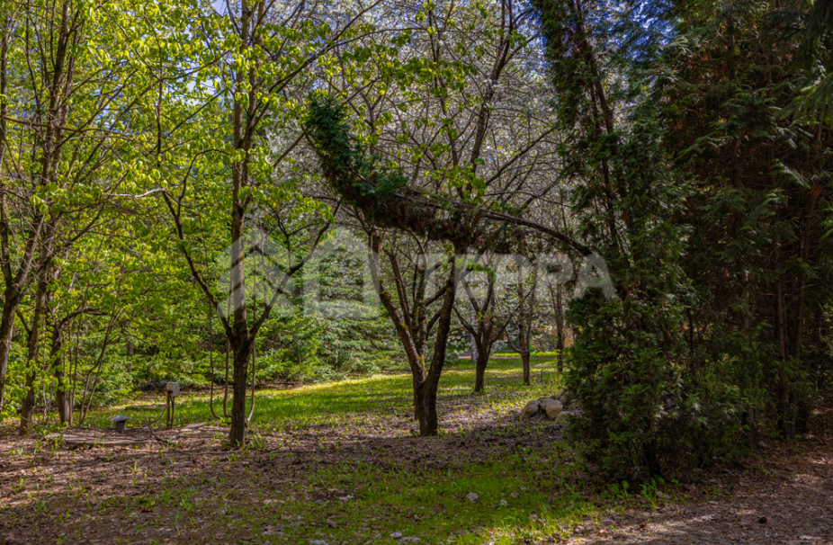 Объект ID 18583 - Участок