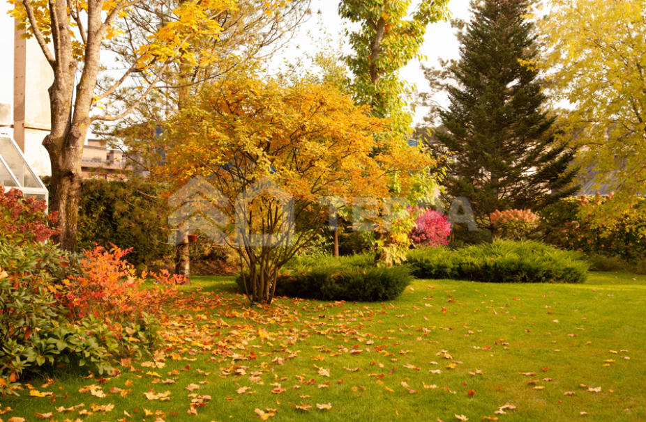 Объект ID 17488 - Дом