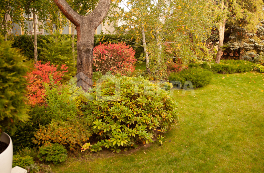 Объект ID 17488 - Дом