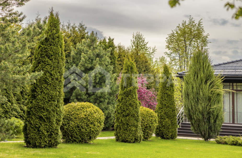 Объект ID 18719 - Дом