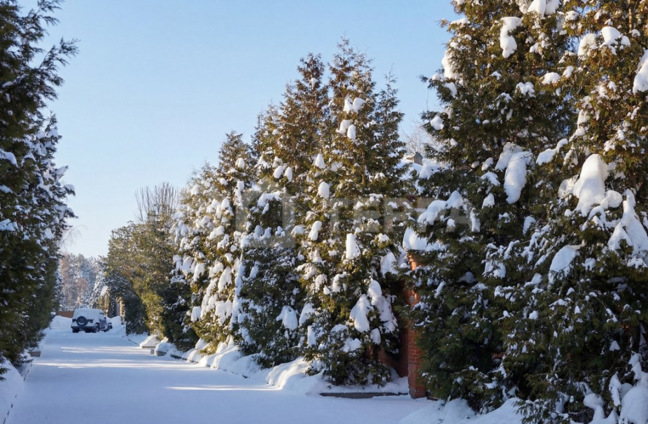 Объект ID 19124 - Участок