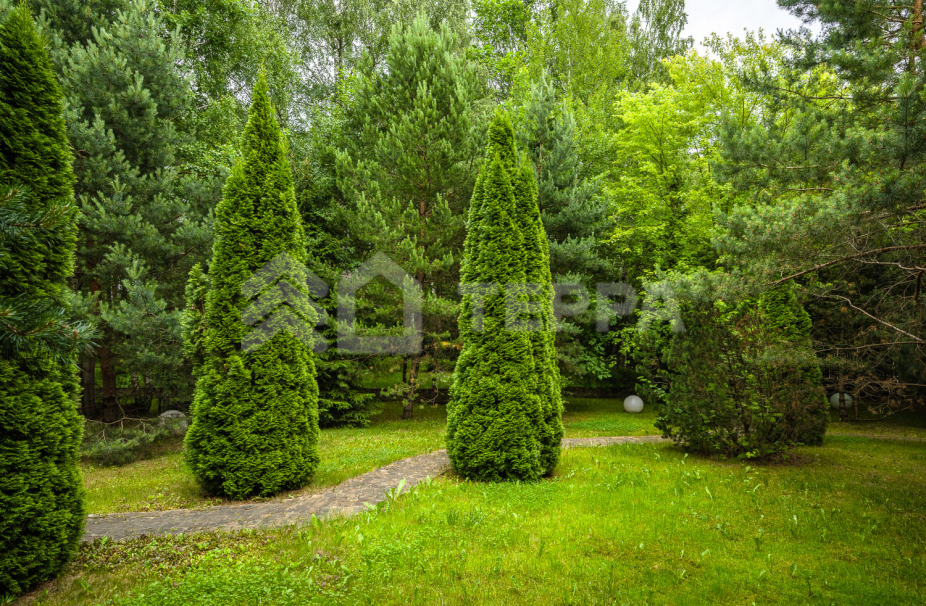 Объект ID 17496 - Дом