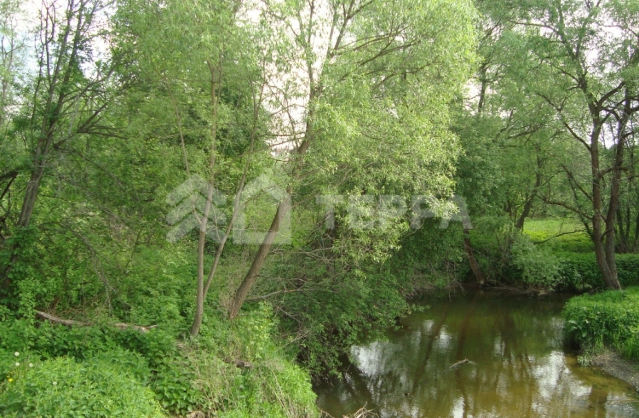 Ближнее Покровское