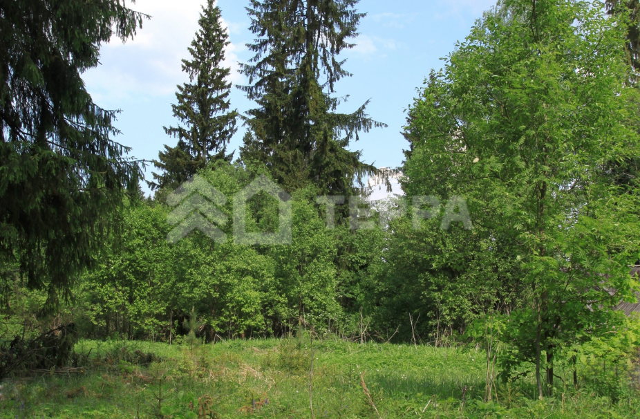 Объект ID 13299 - Участок