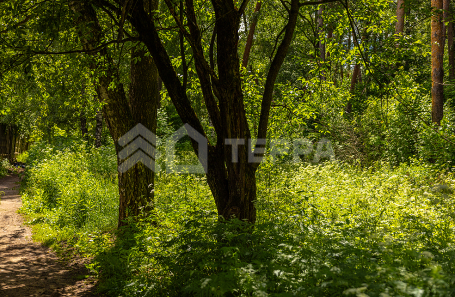 Объект ID 10579 - Участок