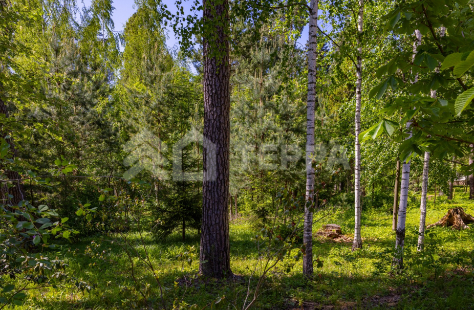 Объект ID 18673 - Участок