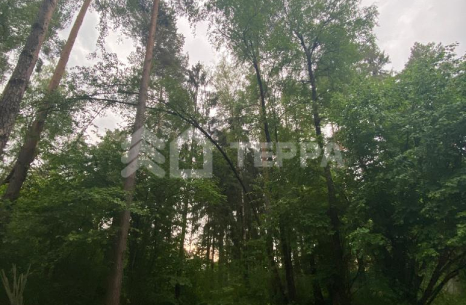 Объект ID 17244 - Участок