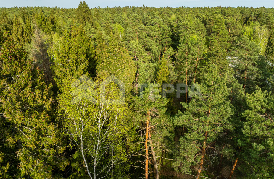 Объект ID 19096 - Участок