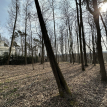 Объект ID 18453 - Участок