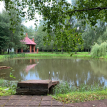 Объект ID 16908 - Дом