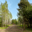 Объект ID 18487 - Участок