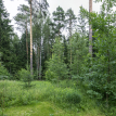 Объект ID 18509 - Дом