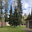 Объект ID 18595 - Дом