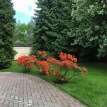 Объект ID 18593 - Дом