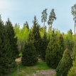 Объект ID 18487 - Участок