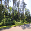 Объект ID 18264 - Участок