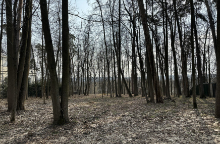 18433