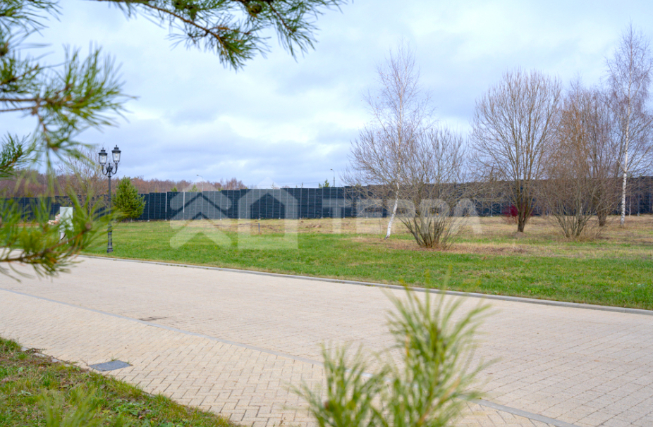 Ромашково 21