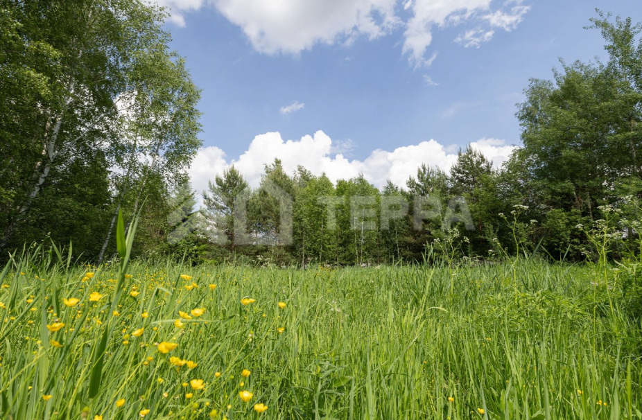 Ильинский ландшафт - 2