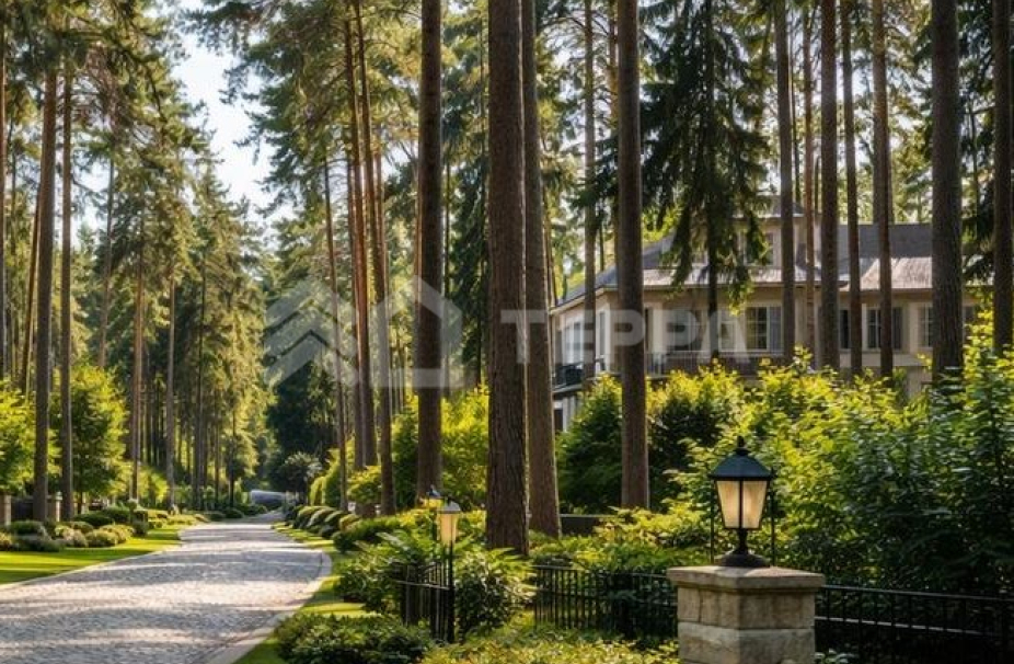 Объект ID 19064 - Участок