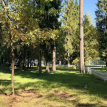 Объект ID 18569 - Участок
