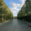 Объект ID 18490 - Участок